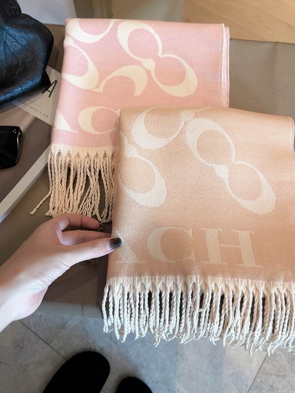 Coach scarf 180X40cm E01